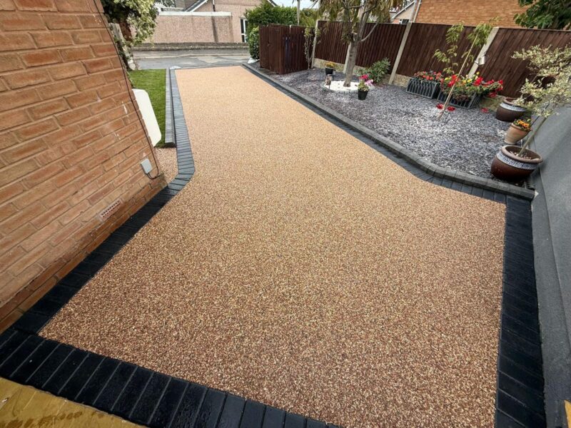 WhatsApp Image 2026-03-10 at 15.43.26