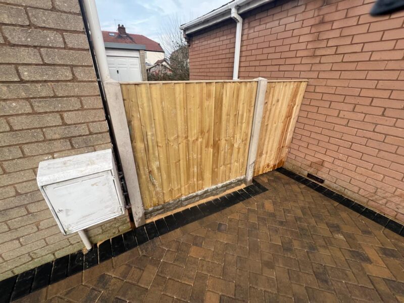 WhatsApp Image 2026-03-11 at 20.18.57 (2)