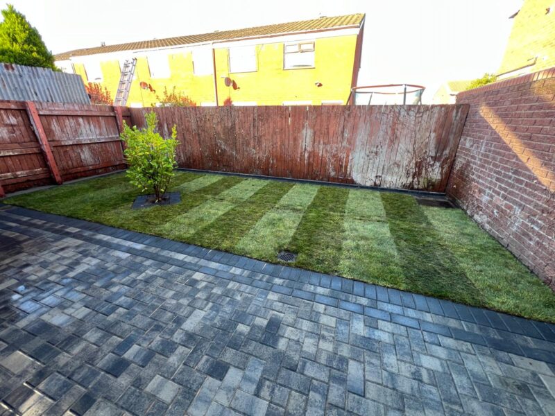 WhatsApp Image 2026-03-11 at 20.19.00